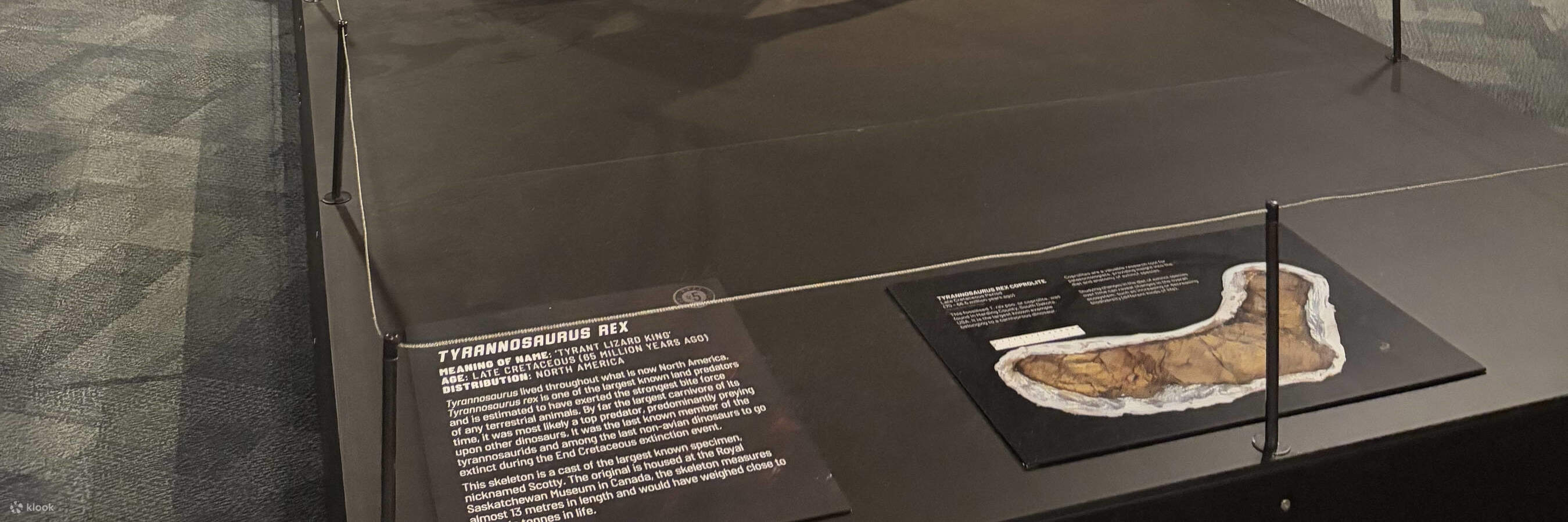 Science Centre Dinosaurier Aussterben Wir Ausstellung